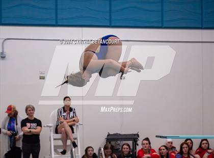Thumbnail 1 in Cherry Creek vs Regis Jesuit (Dive) photogallery.