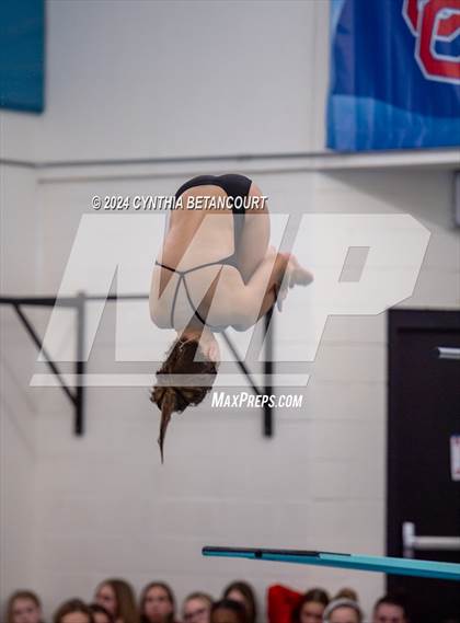 Thumbnail 1 in Cherry Creek vs Regis Jesuit (Dive) photogallery.