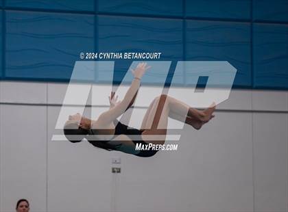Thumbnail 2 in Cherry Creek vs Regis Jesuit (Dive) photogallery.