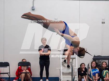 Thumbnail 2 in Cherry Creek vs Regis Jesuit (Dive) photogallery.