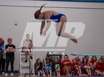 Thumbnail 3 in Cherry Creek vs Regis Jesuit (Dive) photogallery.
