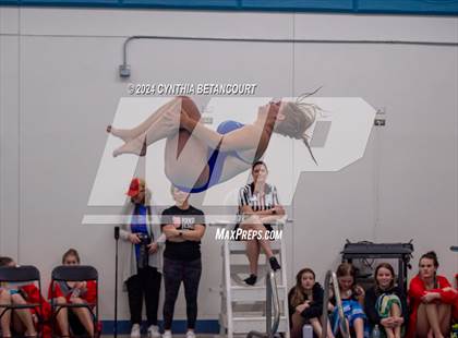 Thumbnail 1 in Cherry Creek vs Regis Jesuit (Dive) photogallery.