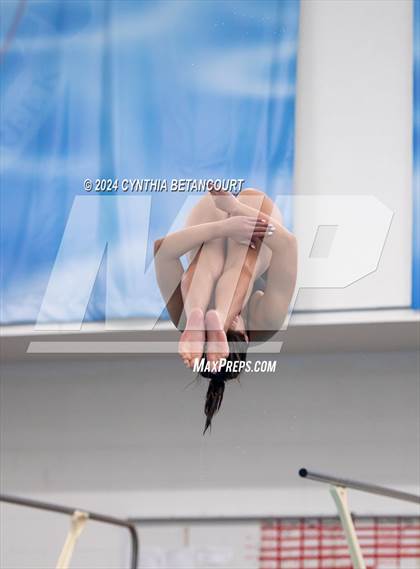 Thumbnail 1 in Cherry Creek vs Regis Jesuit (Dive) photogallery.