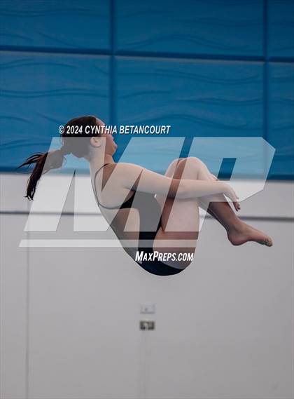 Thumbnail 2 in Cherry Creek vs Regis Jesuit (Dive) photogallery.