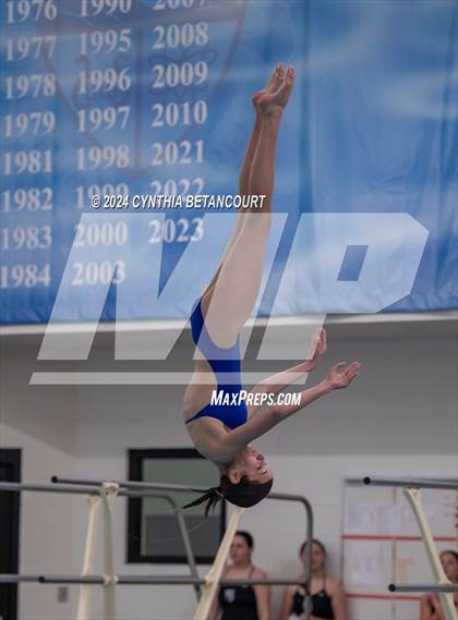 Thumbnail 2 in Cherry Creek vs Regis Jesuit (Dive) photogallery.