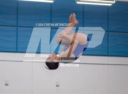 Thumbnail 1 in Cherry Creek vs Regis Jesuit (Dive) photogallery.