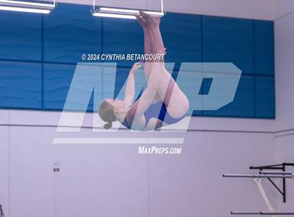 Thumbnail 1 in Cherry Creek vs Regis Jesuit (Dive) photogallery.
