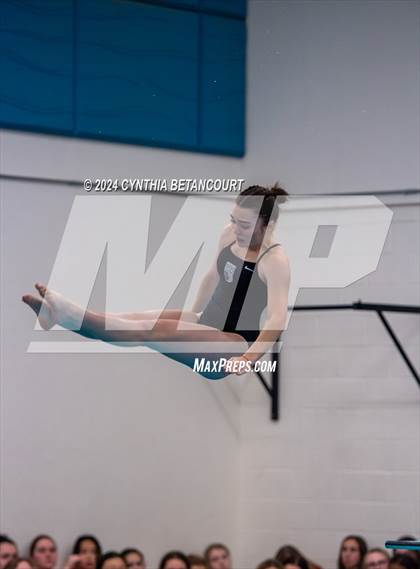 Thumbnail 1 in Cherry Creek vs Regis Jesuit (Dive) photogallery.