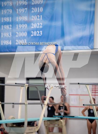 Thumbnail 2 in Cherry Creek vs Regis Jesuit (Dive) photogallery.
