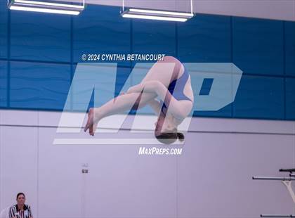 Thumbnail 1 in Cherry Creek vs Regis Jesuit (Dive) photogallery.
