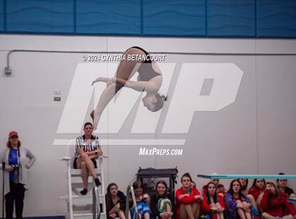 Thumbnail 2 in Cherry Creek vs Regis Jesuit (Dive) photogallery.
