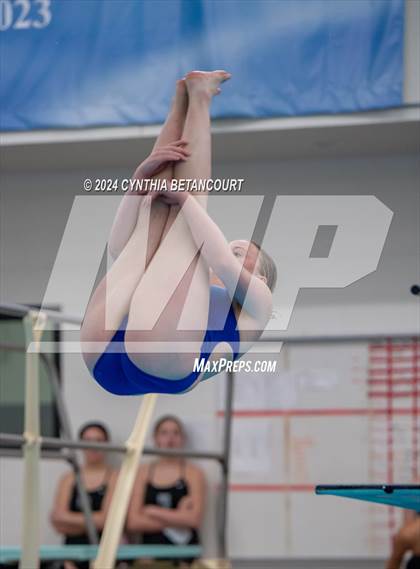 Thumbnail 2 in Cherry Creek vs Regis Jesuit (Dive) photogallery.