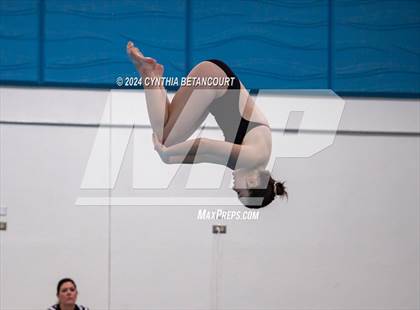 Thumbnail 3 in Cherry Creek vs Regis Jesuit (Dive) photogallery.