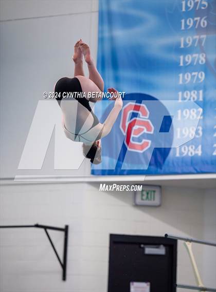Thumbnail 2 in Cherry Creek vs Regis Jesuit (Dive) photogallery.