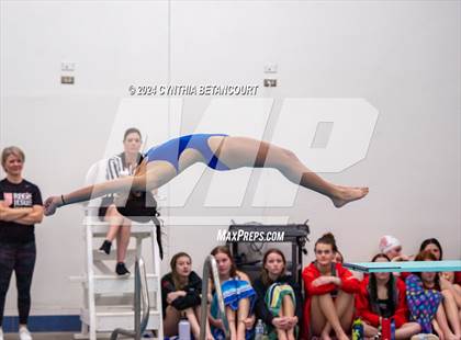 Thumbnail 3 in Cherry Creek vs Regis Jesuit (Dive) photogallery.