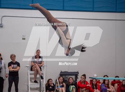Thumbnail 2 in Cherry Creek vs Regis Jesuit (Dive) photogallery.