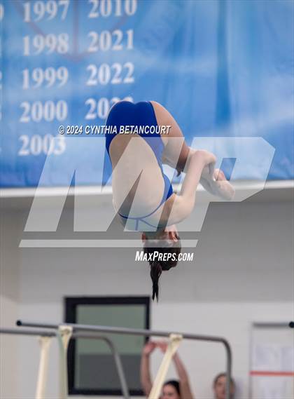 Thumbnail 3 in Cherry Creek vs Regis Jesuit (Dive) photogallery.