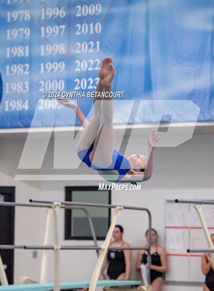 Thumbnail 3 in Cherry Creek vs Regis Jesuit (Dive) photogallery.