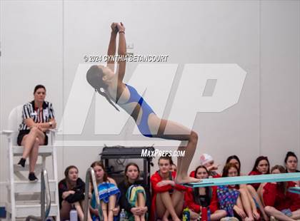 Thumbnail 1 in Cherry Creek vs Regis Jesuit (Dive) photogallery.