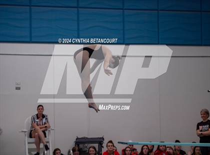Thumbnail 1 in Cherry Creek vs Regis Jesuit (Dive) photogallery.