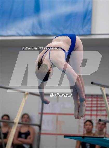 Thumbnail 1 in Cherry Creek vs Regis Jesuit (Dive) photogallery.