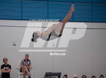 Thumbnail 1 in Cherry Creek vs Regis Jesuit (Dive) photogallery.