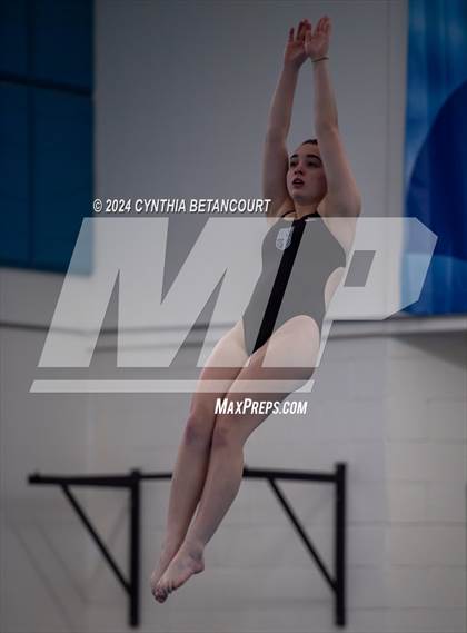 Thumbnail 2 in Cherry Creek vs Regis Jesuit (Dive) photogallery.