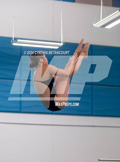 Thumbnail 1 in Cherry Creek vs Regis Jesuit (Dive) photogallery.