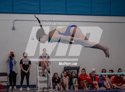 Thumbnail 1 in Cherry Creek vs Regis Jesuit (Dive) photogallery.