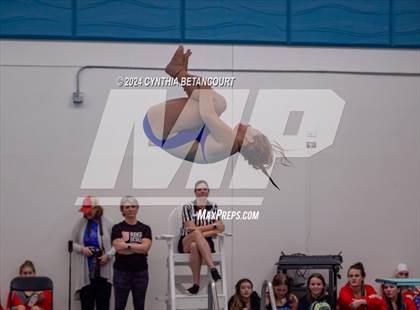 Thumbnail 3 in Cherry Creek vs Regis Jesuit (Dive) photogallery.