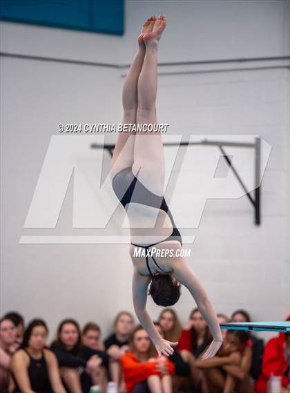 Thumbnail 1 in Cherry Creek vs Regis Jesuit (Dive) photogallery.