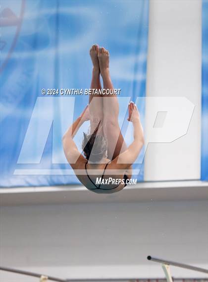 Thumbnail 2 in Cherry Creek vs Regis Jesuit (Dive) photogallery.