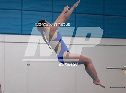 Thumbnail 2 in Cherry Creek vs Regis Jesuit (Dive) photogallery.