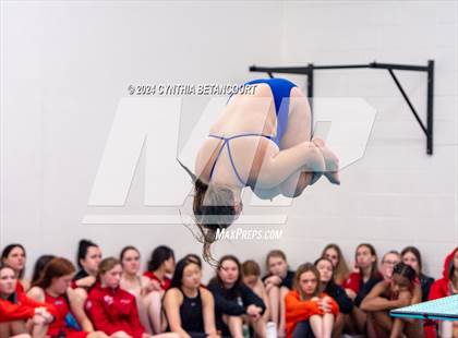 Thumbnail 2 in Cherry Creek vs Regis Jesuit (Dive) photogallery.