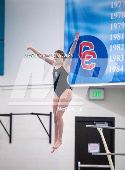 Thumbnail 1 in Cherry Creek vs Regis Jesuit (Dive) photogallery.