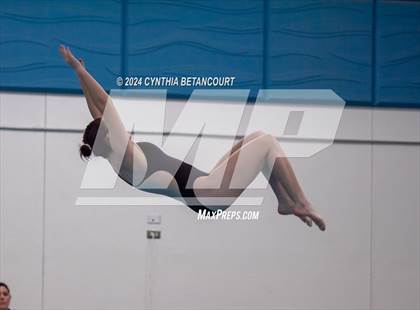 Thumbnail 1 in Cherry Creek vs Regis Jesuit (Dive) photogallery.