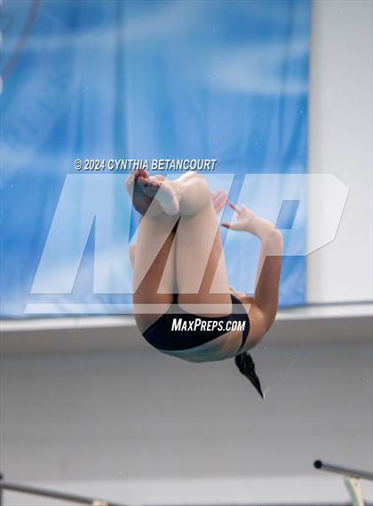 Thumbnail 2 in Cherry Creek vs Regis Jesuit (Dive) photogallery.