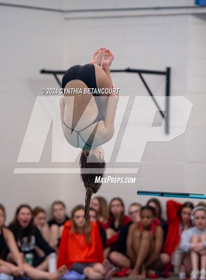 Thumbnail 1 in Cherry Creek vs Regis Jesuit (Dive) photogallery.