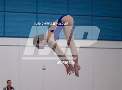 Thumbnail 2 in Cherry Creek vs Regis Jesuit (Dive) photogallery.