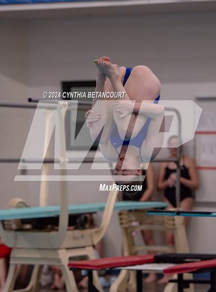 Thumbnail 1 in Cherry Creek vs Regis Jesuit (Dive) photogallery.