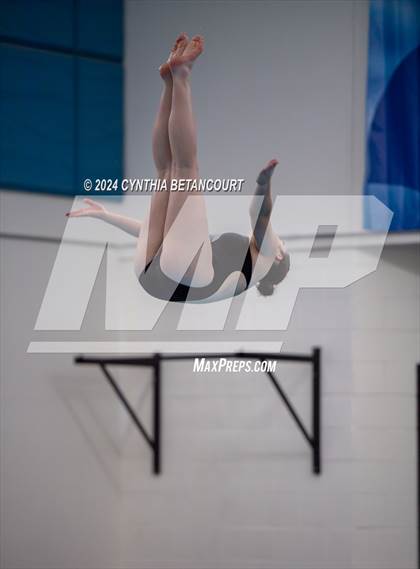 Thumbnail 2 in Cherry Creek vs Regis Jesuit (Dive) photogallery.