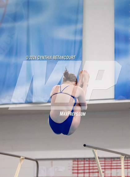 Thumbnail 3 in Cherry Creek vs Regis Jesuit (Dive) photogallery.