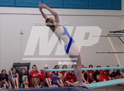 Thumbnail 2 in Cherry Creek vs Regis Jesuit (Dive) photogallery.