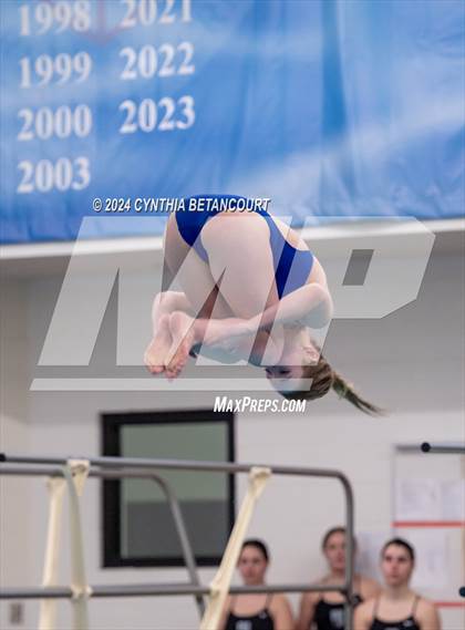 Thumbnail 1 in Cherry Creek vs Regis Jesuit (Dive) photogallery.