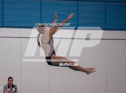 Thumbnail 2 in Cherry Creek vs Regis Jesuit (Dive) photogallery.