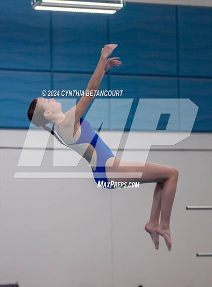 Thumbnail 2 in Cherry Creek vs Regis Jesuit (Dive) photogallery.