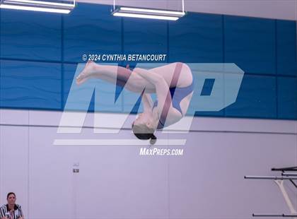 Thumbnail 3 in Cherry Creek vs Regis Jesuit (Dive) photogallery.