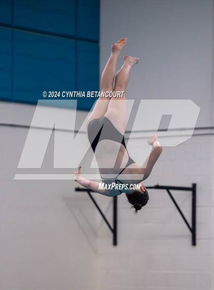Thumbnail 2 in Cherry Creek vs Regis Jesuit (Dive) photogallery.