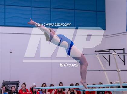 Thumbnail 3 in Cherry Creek vs Regis Jesuit (Dive) photogallery.