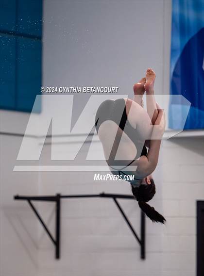Thumbnail 2 in Cherry Creek vs Regis Jesuit (Dive) photogallery.